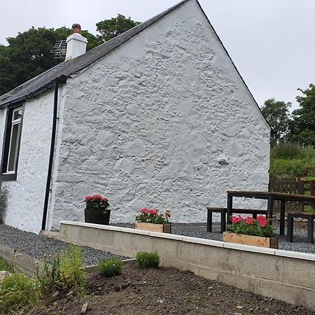 Dairy Cottage With Sea Views Girvan Exteriör bild