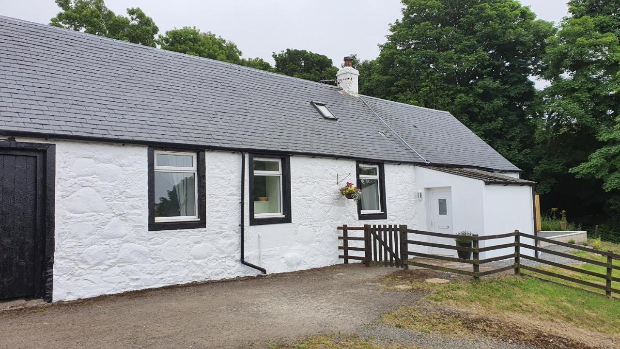 Dairy Cottage With Sea Views Girvan Exteriör bild