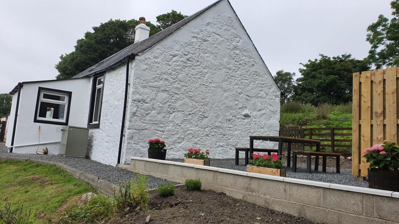 Dairy Cottage With Sea Views Girvan Exteriör bild